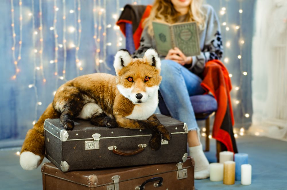 Sculptures, statuettes and miniatures - Realistic toy fox. Faux taxidermy. Window display - KATERINA MAKOGON