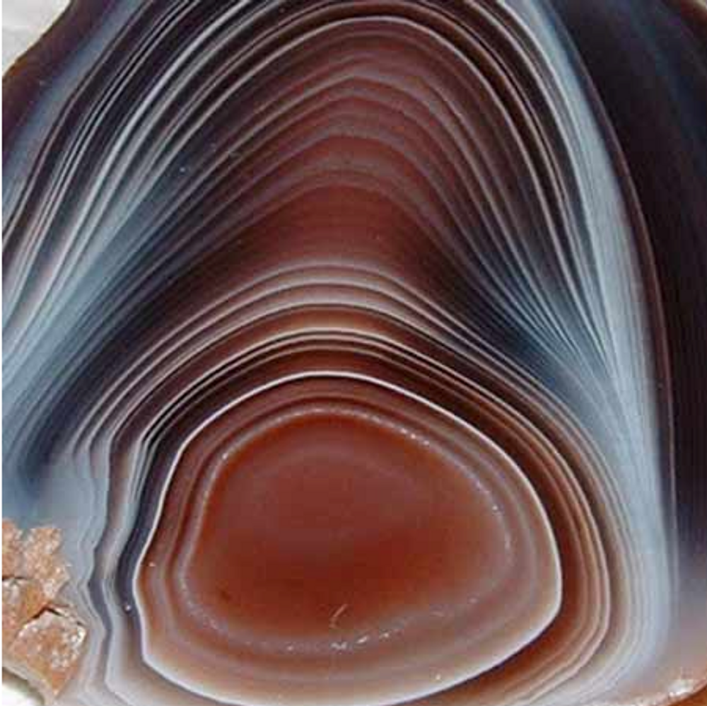 Jewelry - Botswana Agate Link Bracelet - GIVE ME HAPPINESS
