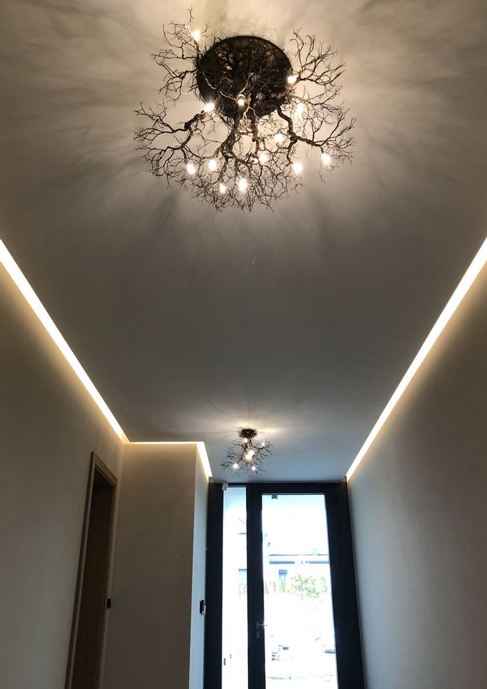 Ceiling lights - Roots Small to Medium - F+M FOS