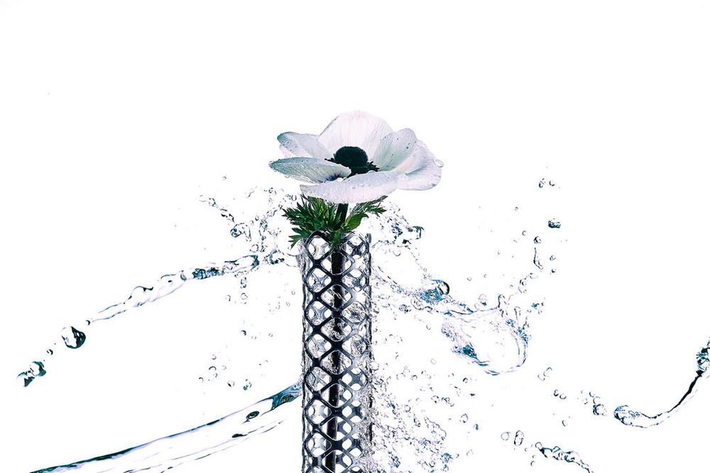 Floral decoration - PLANT'S JEWEL Bangle - TRINUS