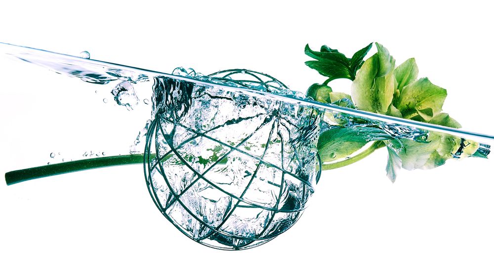 Floral decoration - PLANT'S JEWEL Mirror Ball - TRINUS