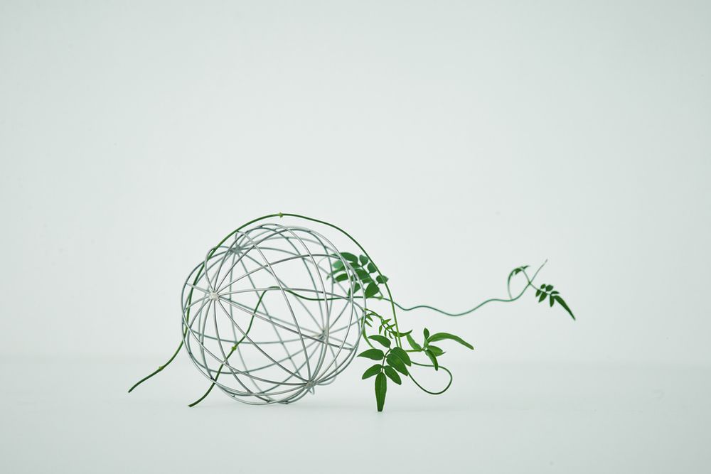 Floral decoration - PLANT'S JEWEL Mirror Ball - TRINUS