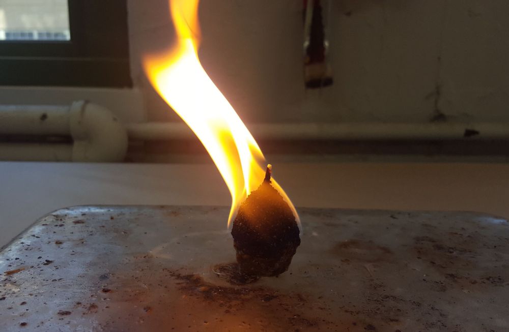 Barbecues - Fire Starters - CHRISTOPHE POURNY STUDIO