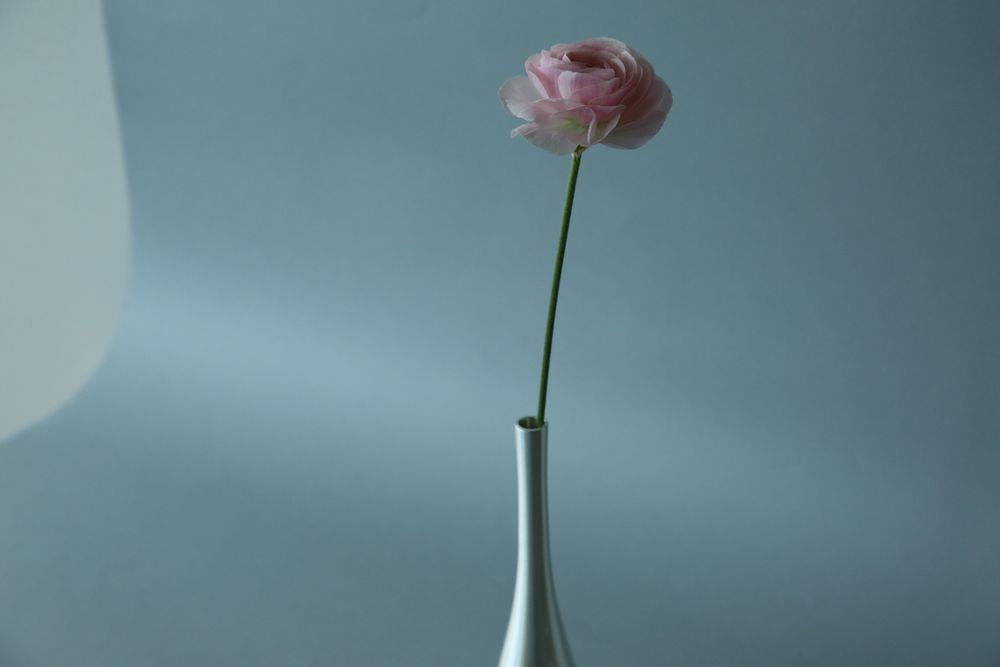Vases - Sorori vase à fleurs en laiton argent L - NOUSAKU