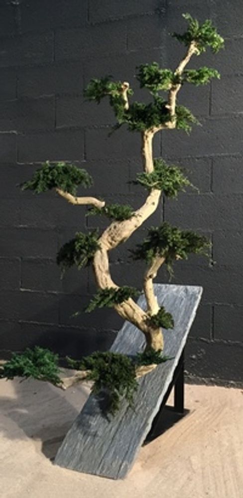 Décorations florales - arbre en végétaux stabilisés - DECO-NATURE