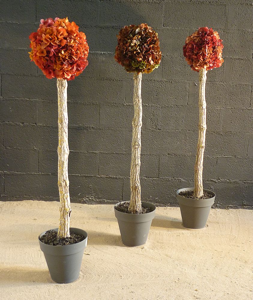 Décorations florales - arbre en végétaux stabilisés - DECO-NATURE