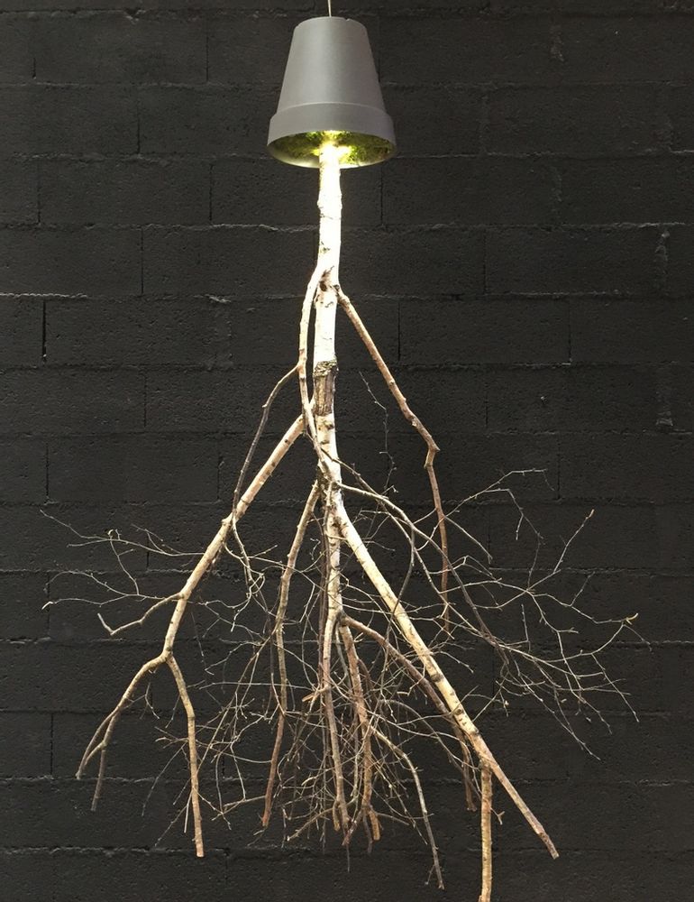 Objets de décoration - suspensions, lustres - DECO-NATURE