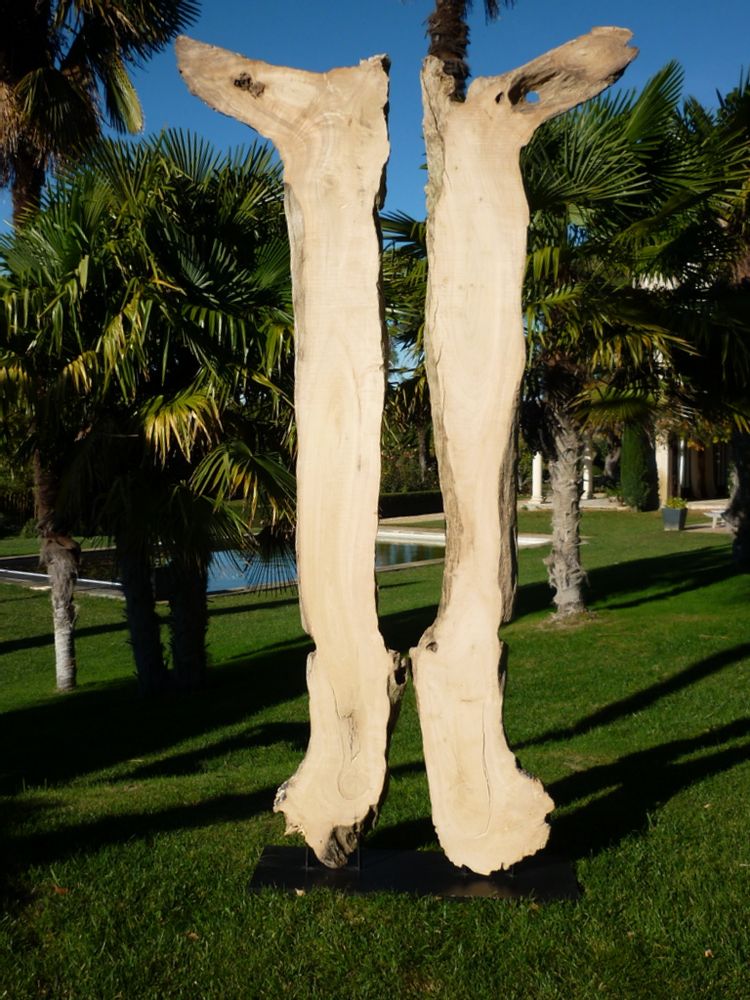 Objets de décoration - Sculptures en bois flotté - DECO-NATURE