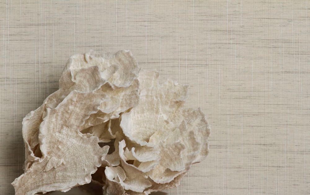 Other wall decoration - Bolsa Wallpaper - SEKO ELEVATE OC
