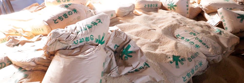 Couverts de service - Chopsitcs en résine de riz durable - WABI WORLD