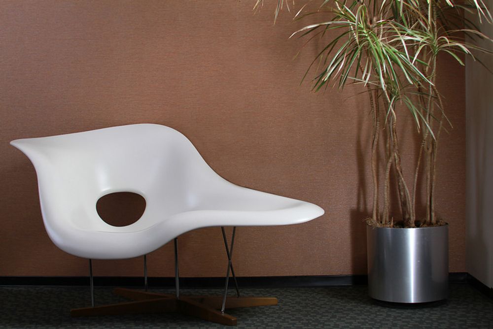 Autres décorations murales - Papier peint Nash - SEKO ELEVATE PREMIUM