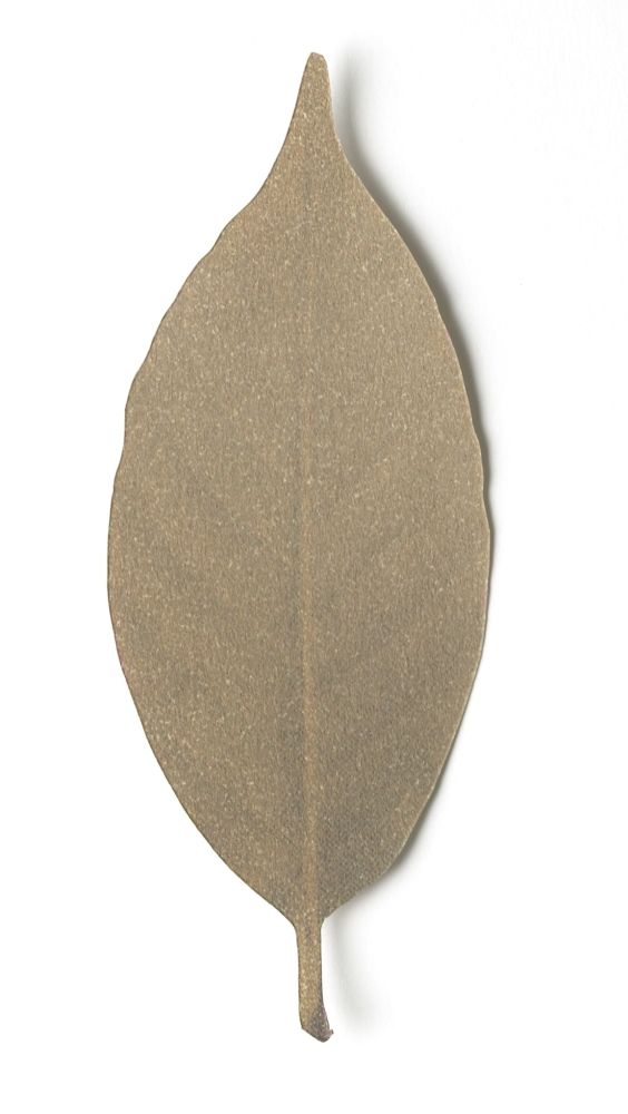 Design objects - Leaf / Thermometer - H CONCEPT