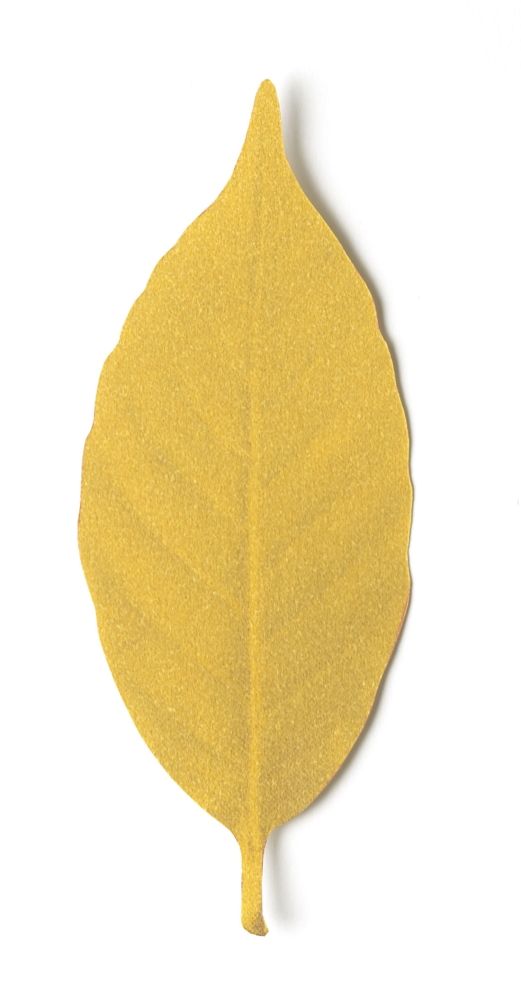 Design objects - Leaf / Thermometer - H CONCEPT