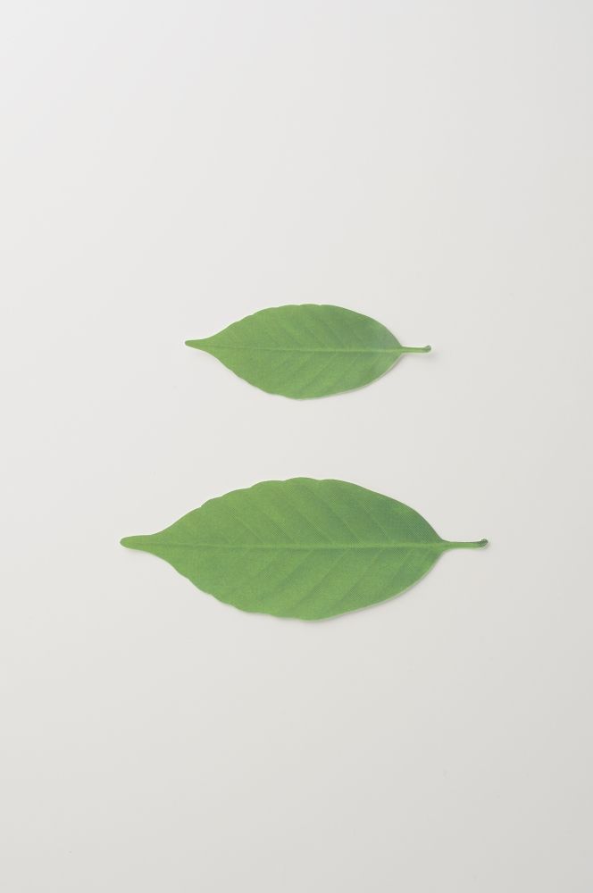 Design objects - Leaf / Thermometer - H CONCEPT