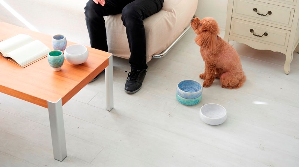 Ceramic - Bowl Paws - =K+