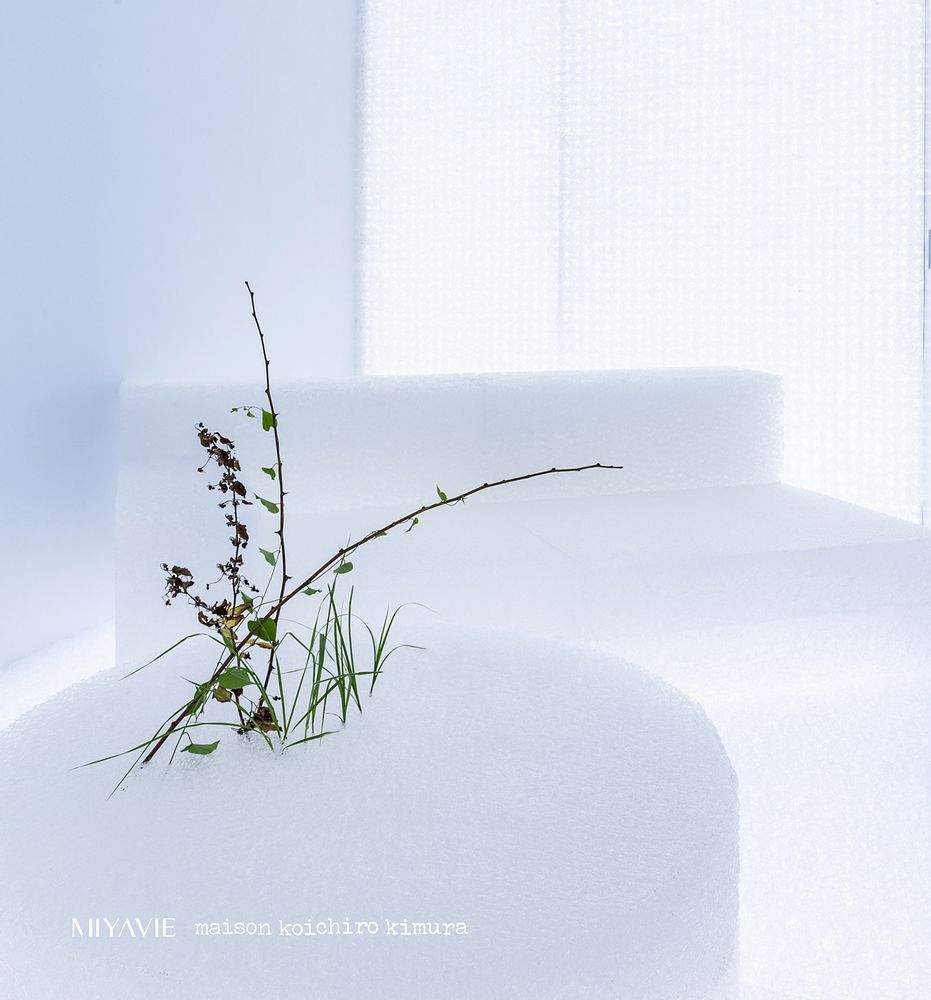 Decorative objects - MIYAVIE DECORATIVE UNIT - MIYAVIE MAISON KOICHIRO KIMURA