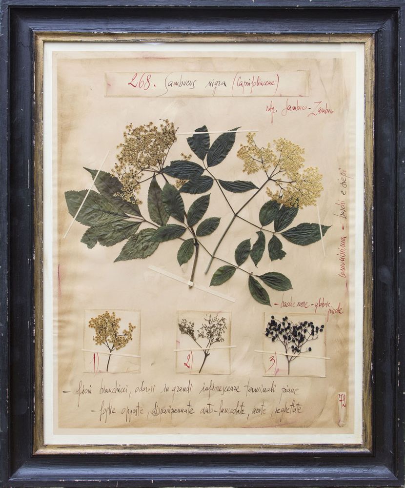 Pièces uniques - Tableau 504 XXL - OFFICINA NATURALIS