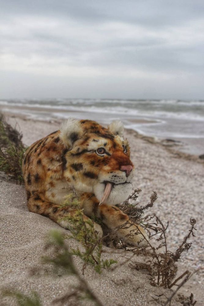 Peluches - Peluche Tigre dent de sabre - KATERINA MAKOGON