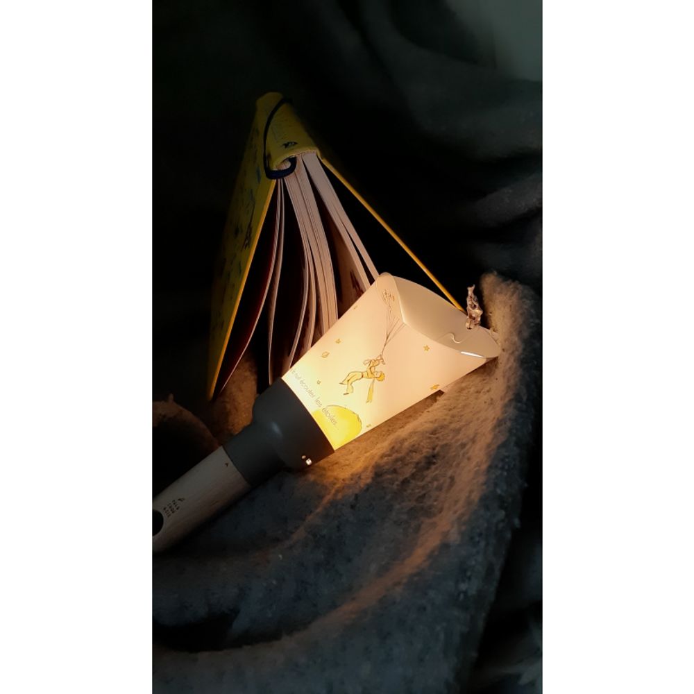 Wireless lamps - Lampe Nomade "Passe-Partout" Le Petit Prince takes off - MAISON POLOCHON