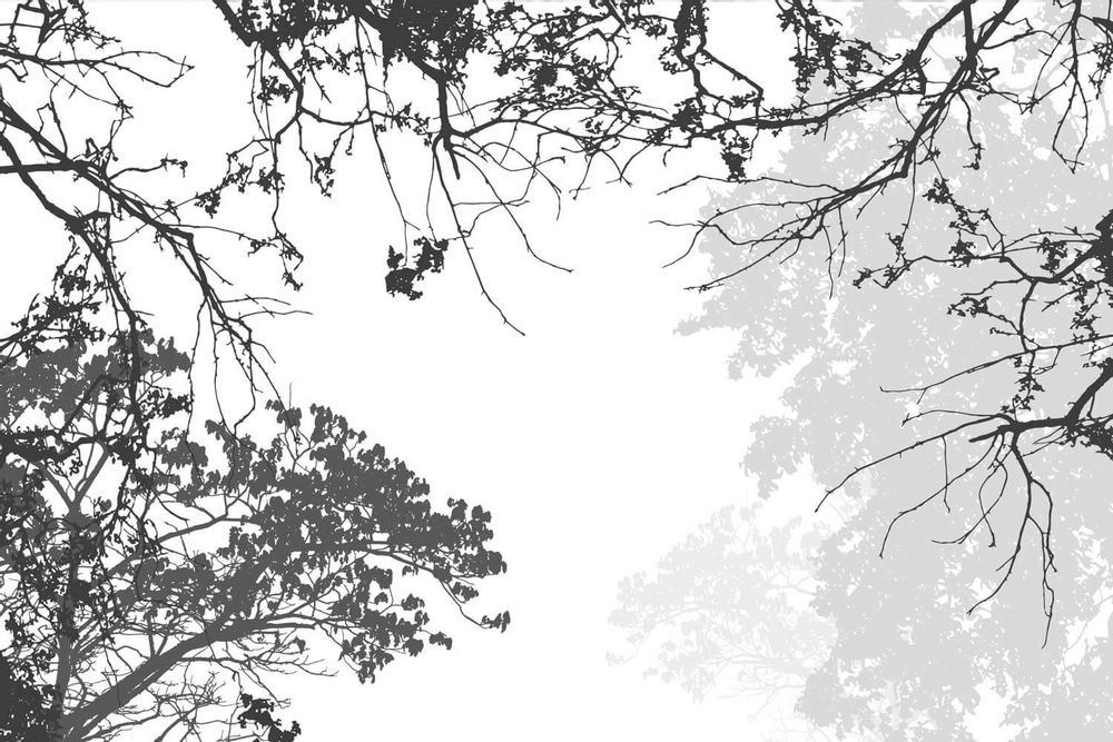 Decorative objects - Ramos Premium Grey and White Tree Wallpaper - LA MAISON MURAEM