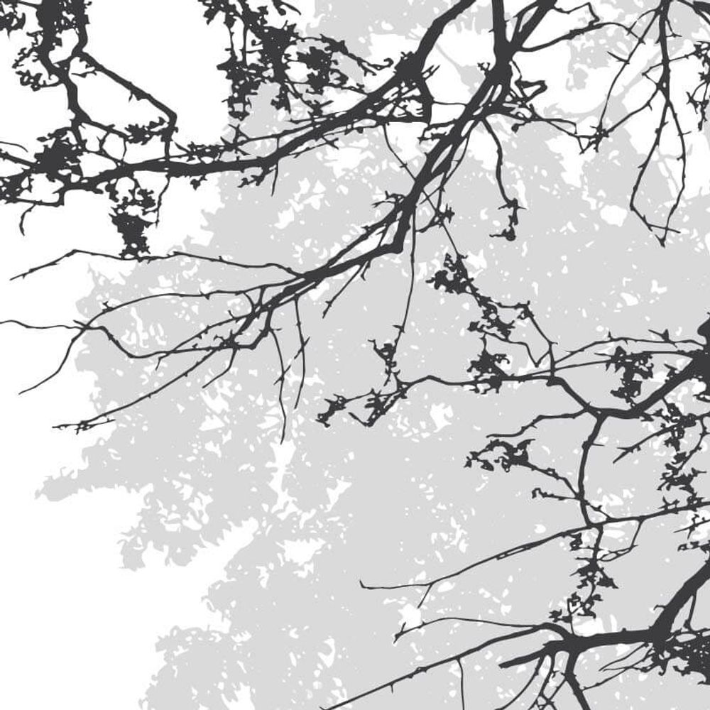Decorative objects - Ramos Premium Grey and White Tree Wallpaper - LA MAISON MURAEM