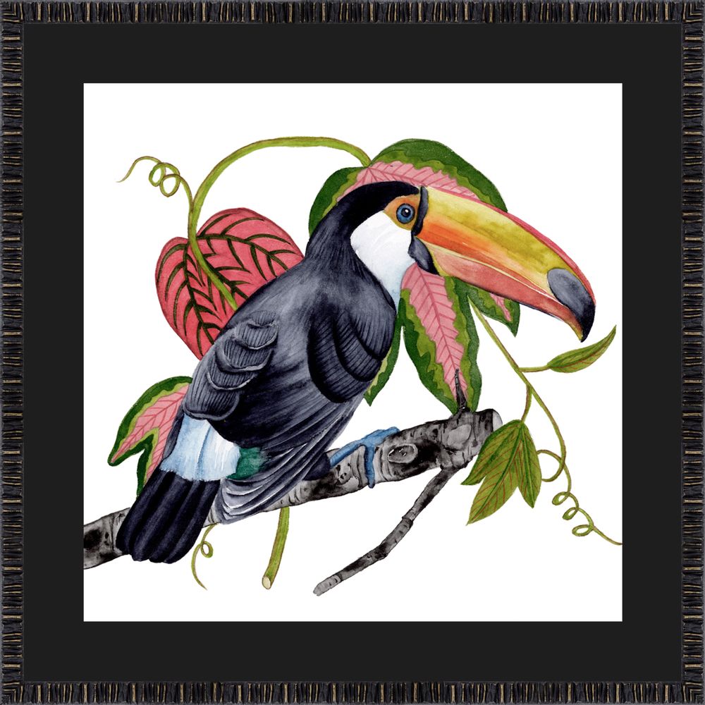 Autres décorations murales - Art encadré : Toco Toucan - G & C INTERIORS A/S