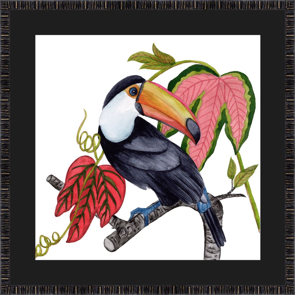 Autres décorations murales - Art encadré : Toco Toucan - G & C INTERIORS A/S