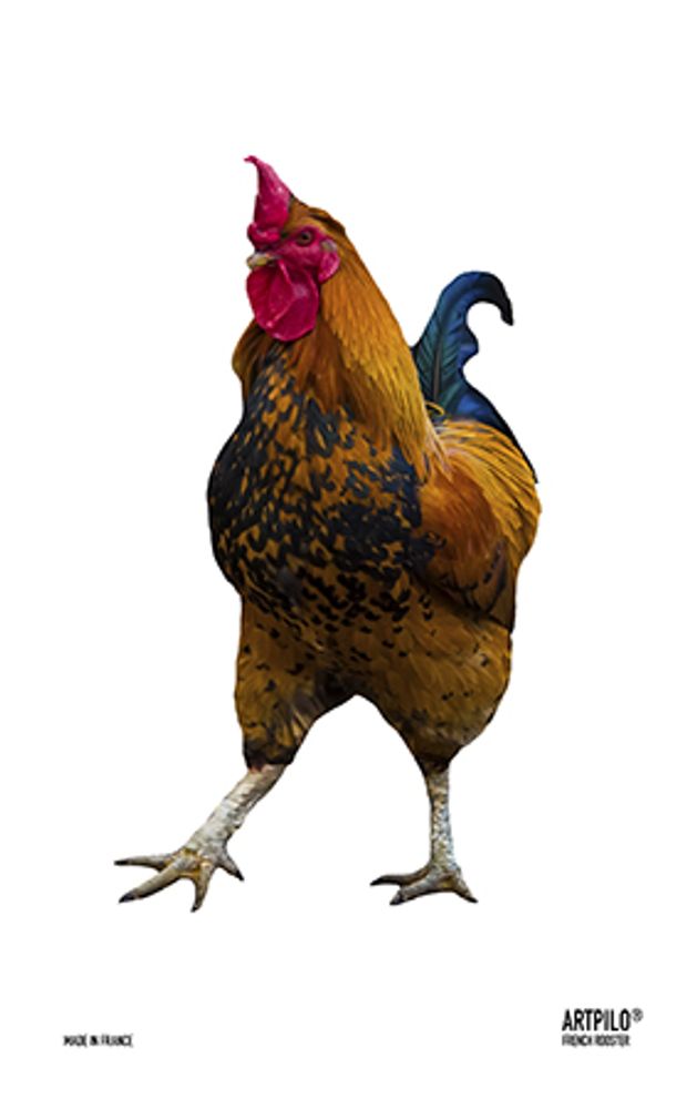 Tea towel - Tea towels FRENCH ROOSTER 47*74 - ARTPILO