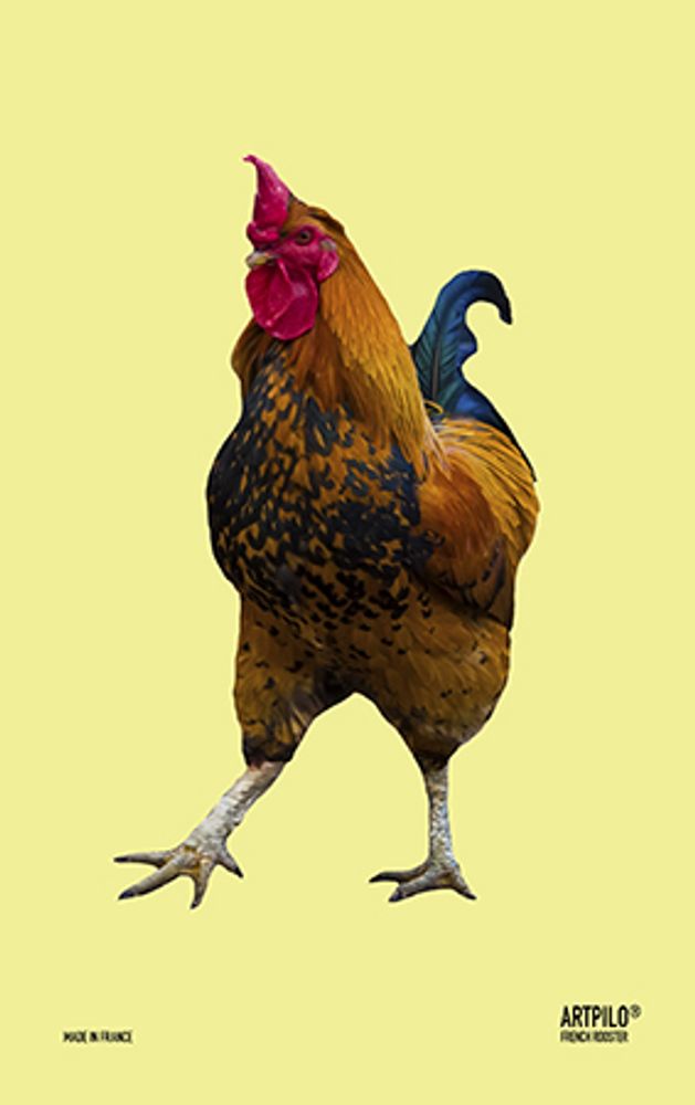 Tea towel - Tea towels FRENCH ROOSTER 47*74 - ARTPILO