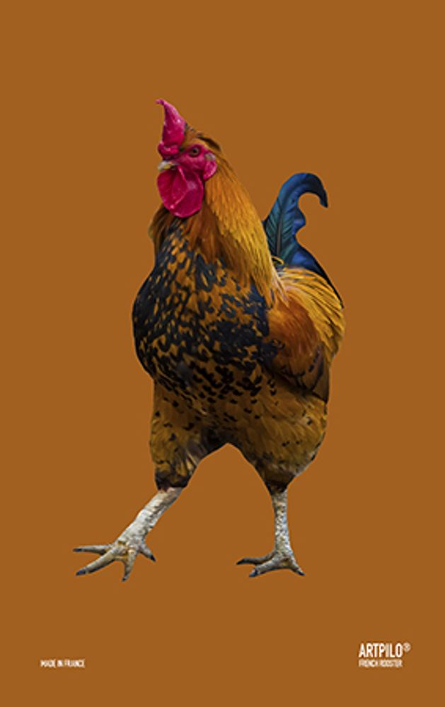 Tea towel - Tea towels FRENCH ROOSTER 47*74 - ARTPILO