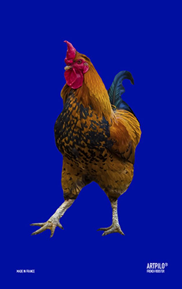 Tea towel - Tea towels FRENCH ROOSTER 47*74 - ARTPILO
