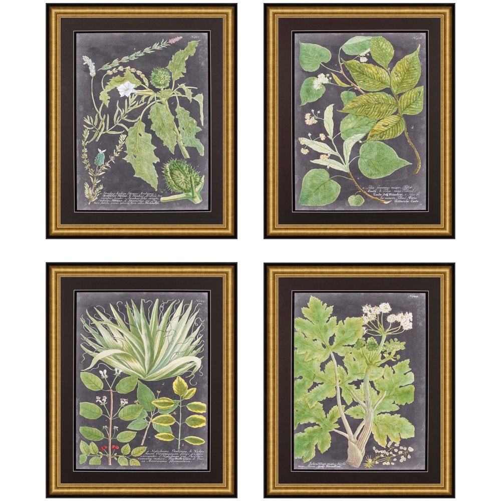 Autres décorations murales - Art encadré : Verdure dramatique - G & C INTERIORS A/S