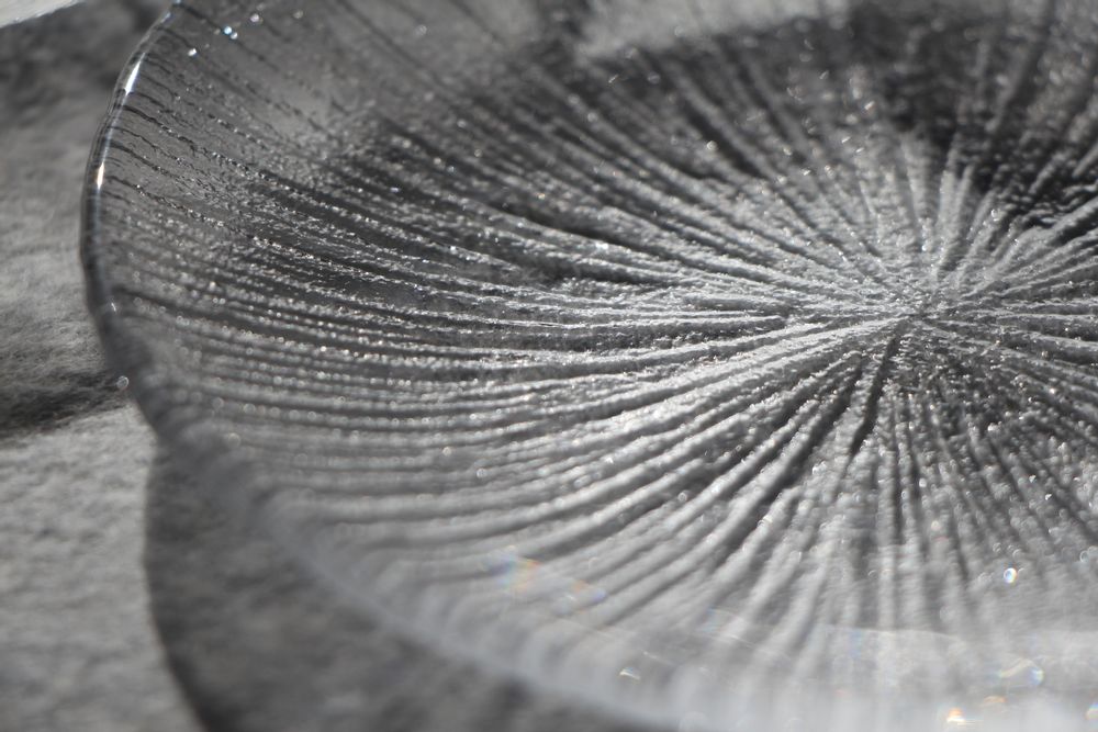 Glass - "NAGISA" Japanese Beautiful Granularity Texture Handcrafted Glass Plate - TOYO-SASAKI GLASS
