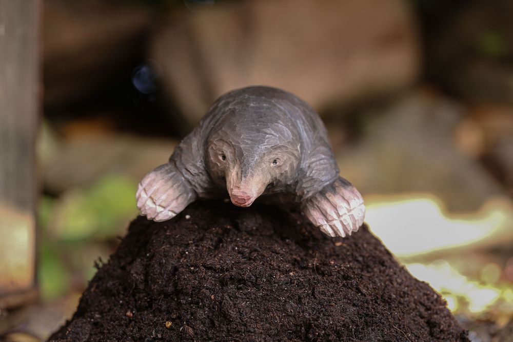 Decorative objects - Hand Carved Animals - WILDLIFE GARDEN