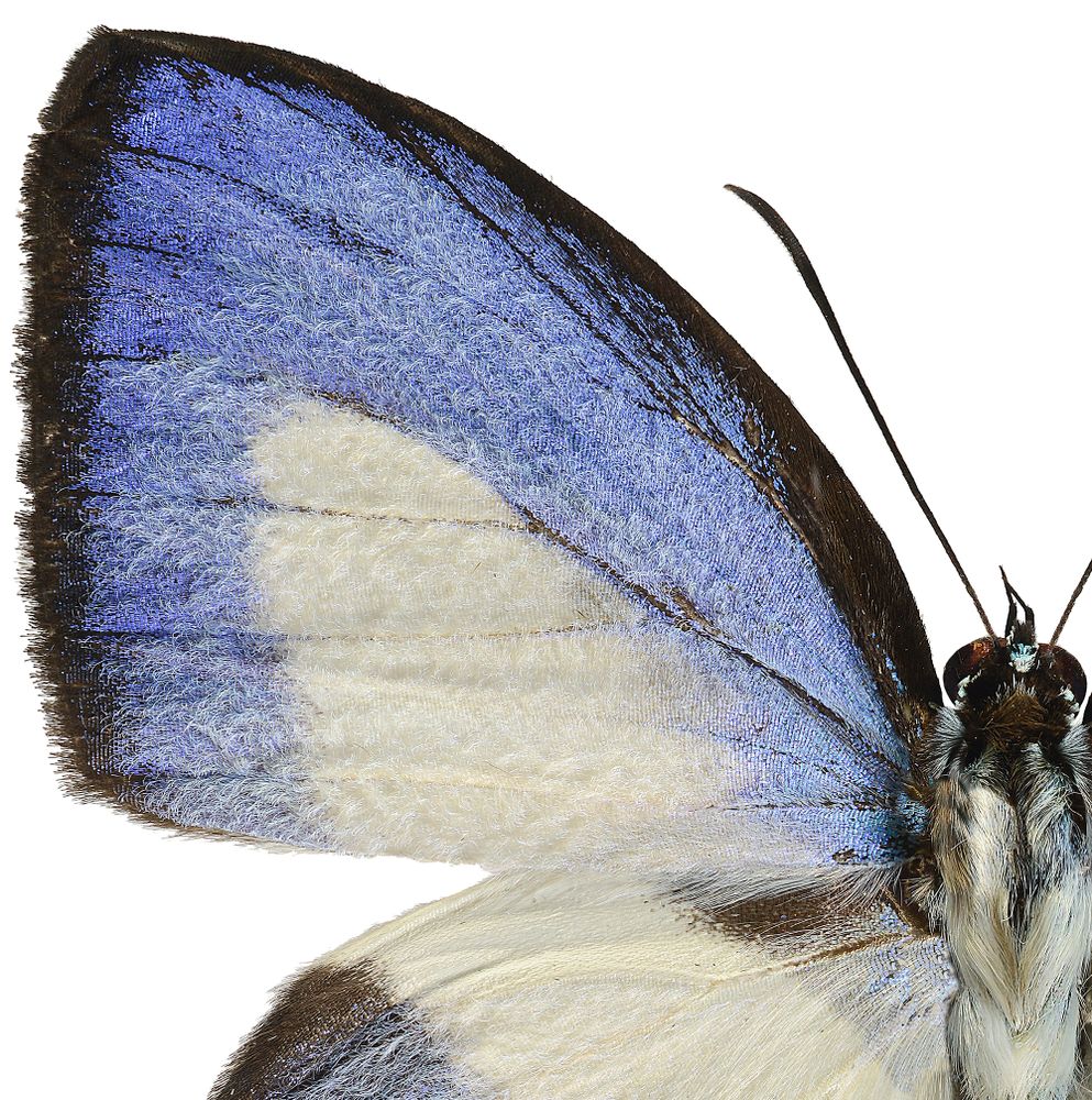 Art photos - Details - LILJEBERGS