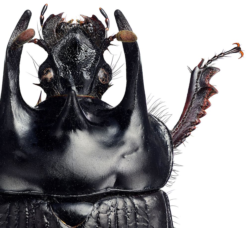 Art photos - Details - LILJEBERGS