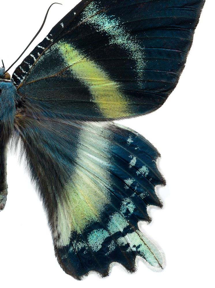 Art photos - Details - LILJEBERGS