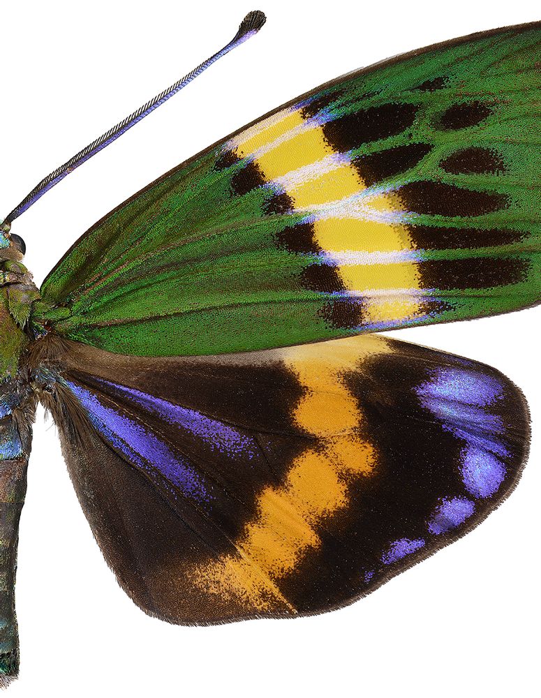 Art photos - Details - LILJEBERGS