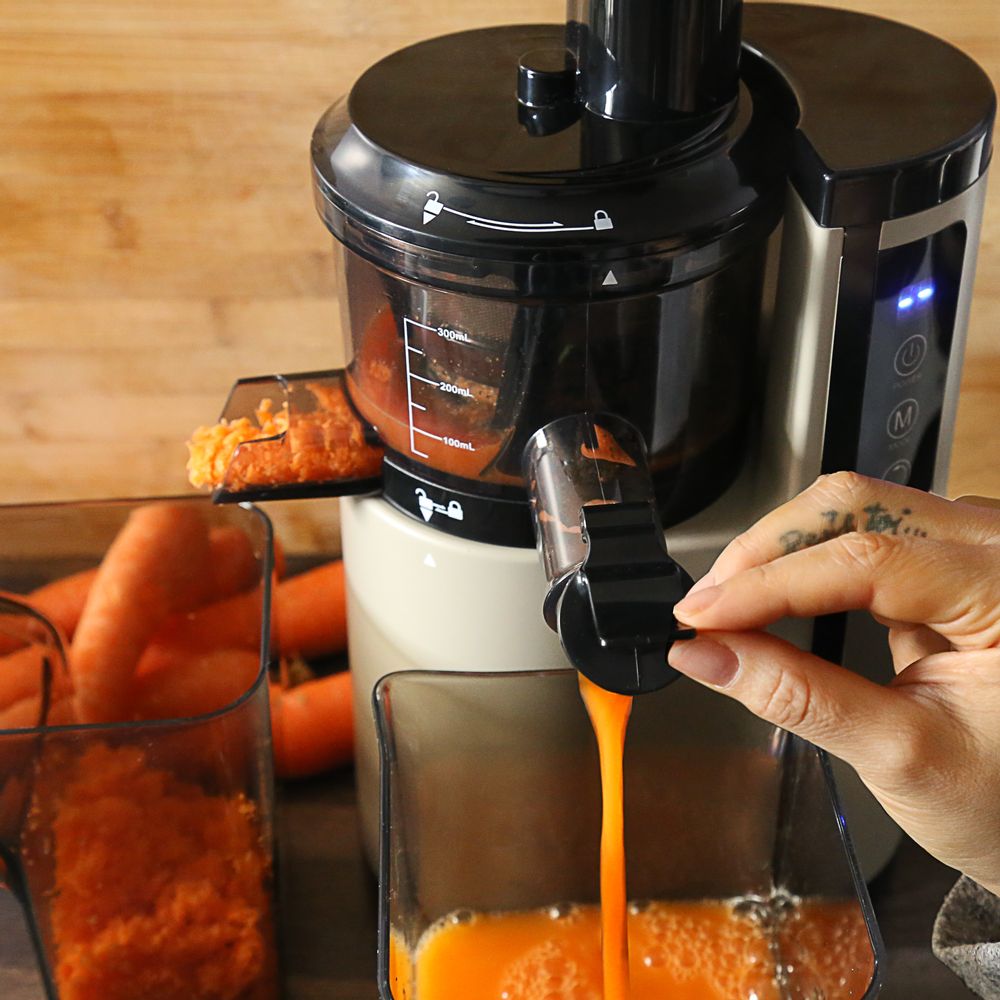 Small household appliances - SLOW JUICER DETOXIMIX SJ1500 S - DETOXIMIX