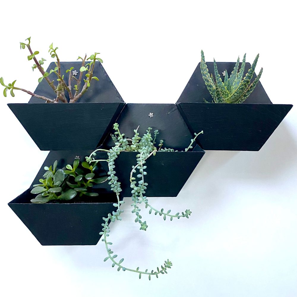 Floral decoration - Hexagonal Natural Slate Wall Planter - LE TRÈFLE BLEU