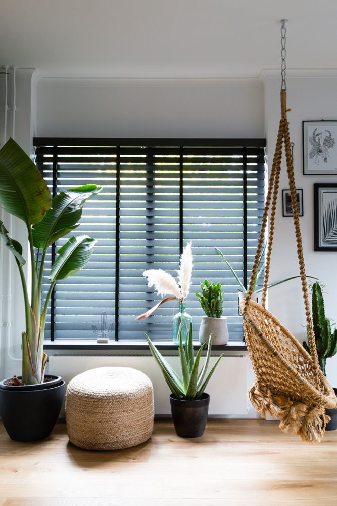Curtains and window coverings - JASNO BLINDS - Venetian blind wood in the bathroom, kitchen or spa - JASNO
