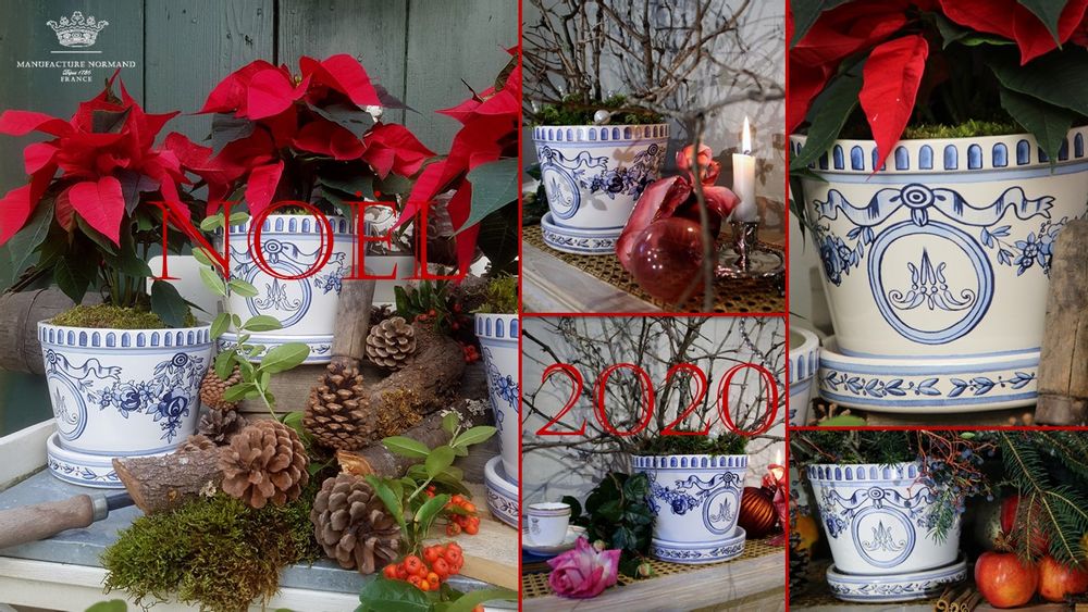 Floral decoration - The pot of Queen Marie-Antoinette for Christmas parties - MANUFACTURE NORMAND