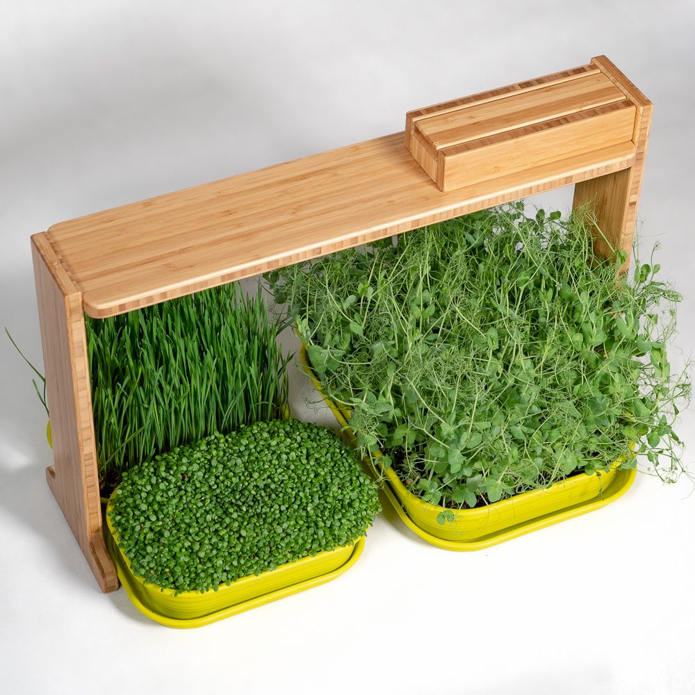 Etagères - Bitsy - GILĖ SPROUT