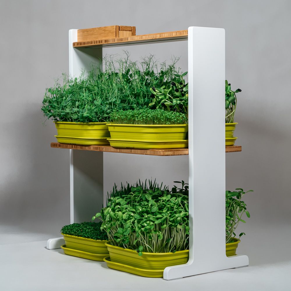 Etagères - Bitsy double - GILĖ SPROUT