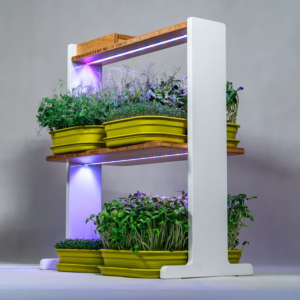 Etagères - Bitsy double - GILĖ SPROUT