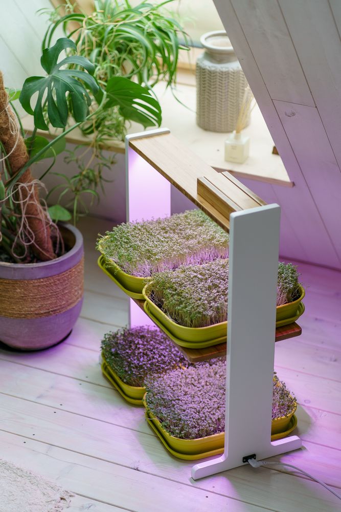 Etagères - Bitsy double - GILĖ SPROUT