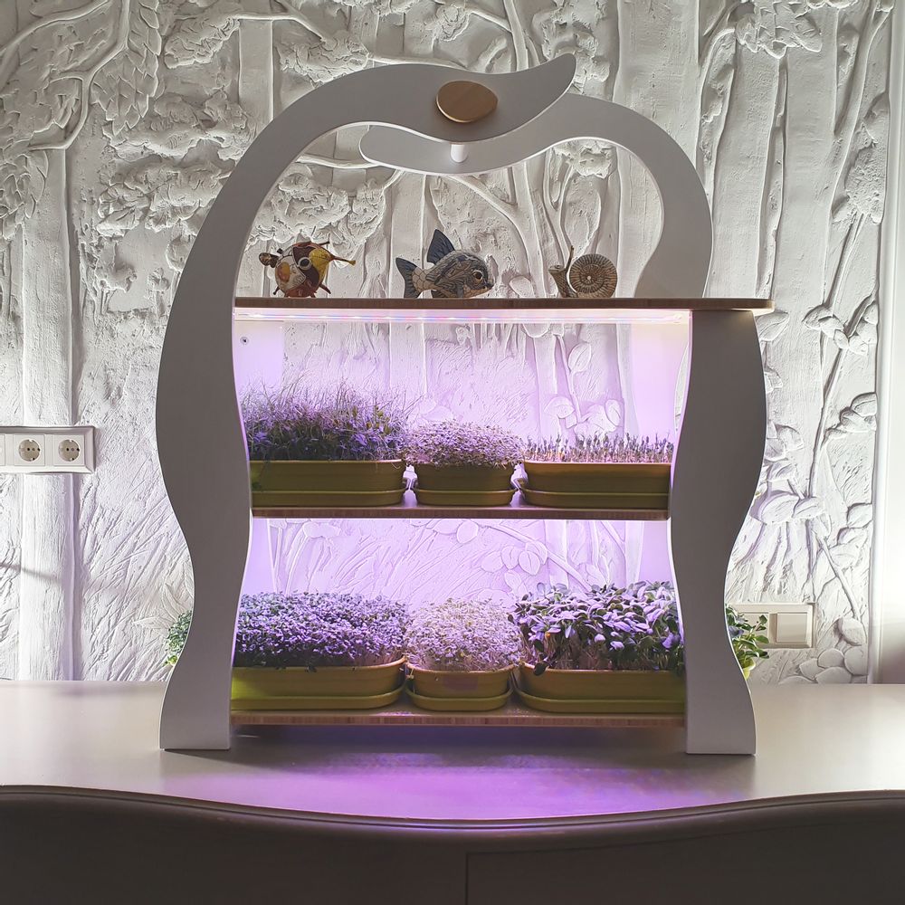 Etagères - Wheatgrass - GILĖ SPROUT