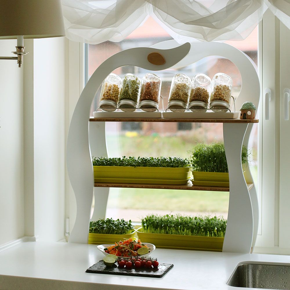 Etagères - Wheatgrass - GILĖ SPROUT