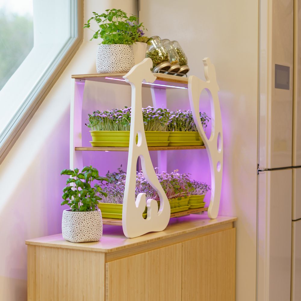 Etagères - Sparrow - GILĖ SPROUT