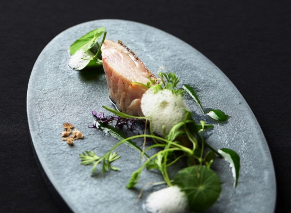 Assiettes de réception - Plaque plate ovale 300／Plaque plate ovale 300-YUKI - TSUKI YASUDAKAWARA JAPAN